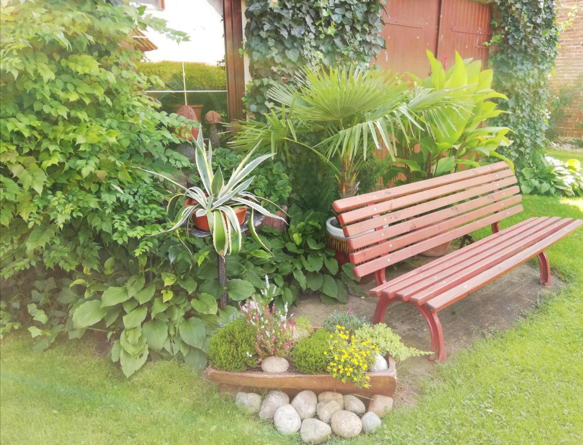 Hohenbruck Ferienwohnung Blick Zu Den Sternen מראה חיצוני תמונה