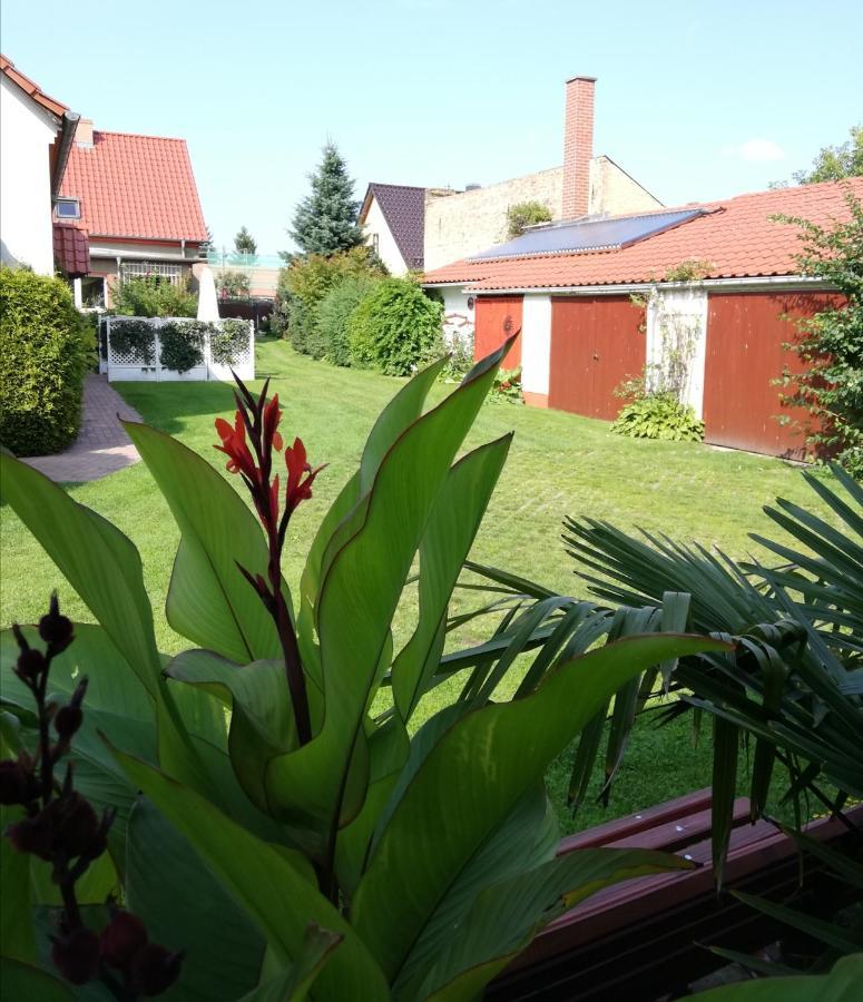Hohenbruck Ferienwohnung Blick Zu Den Sternen מראה חיצוני תמונה